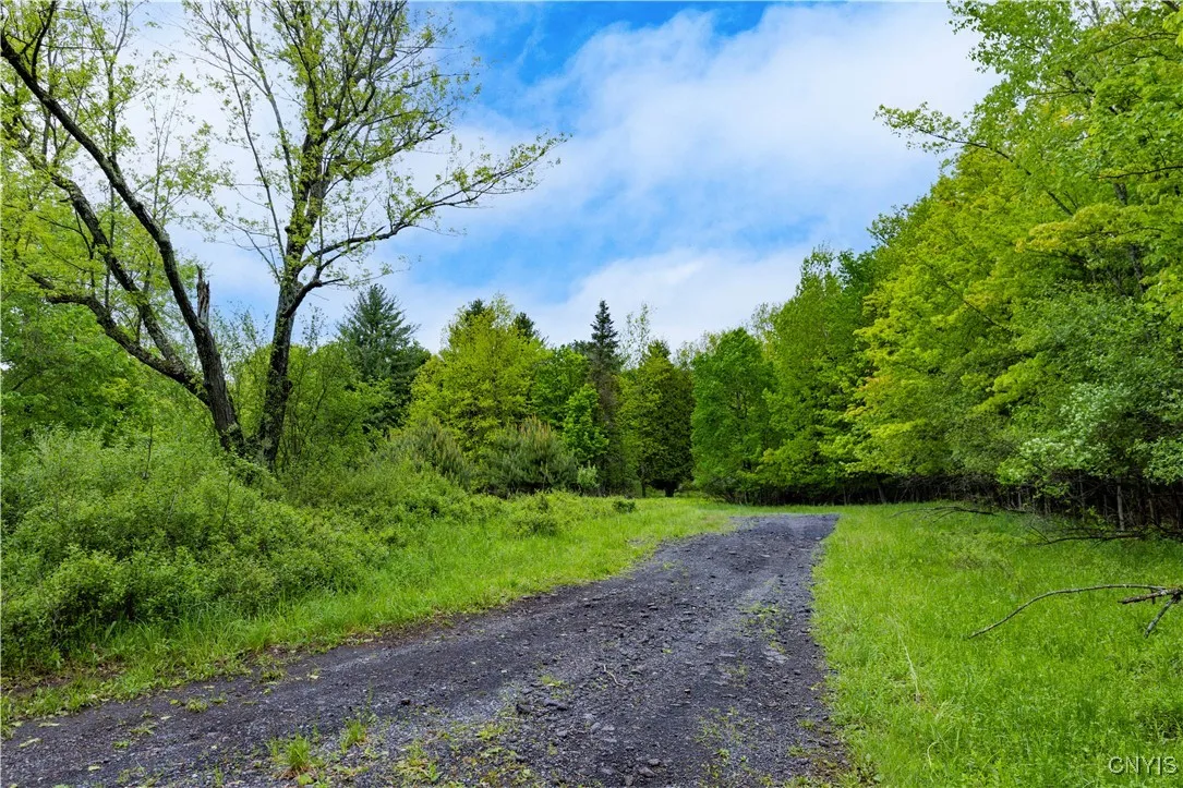 58 Cascade Drive, New Hartford, New York 13413, New Hartford, New York 13413, ,Land,For Sale,58 Cascade Drive, New Hartford, New York 13413,0,S1607376