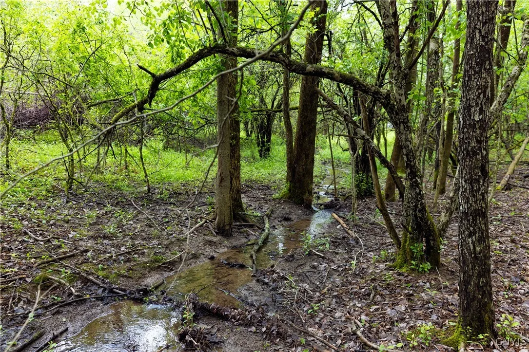 58 Cascade Drive, New Hartford, New York 13413, New Hartford, New York 13413, ,Land,For Sale,58 Cascade Drive, New Hartford, New York 13413,0,S1607376