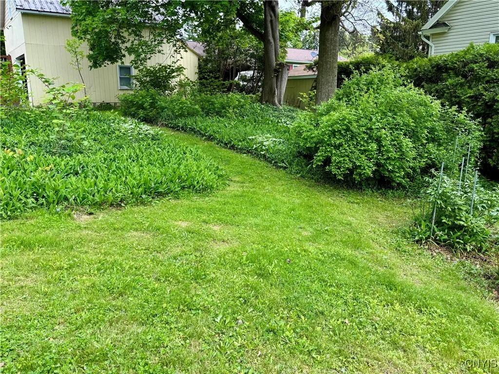160” wide yard