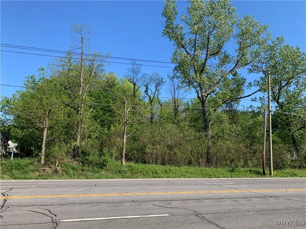 10669 Erie Road, Brant, New York 14027, Brant, New York 14027, ,Land,For Sale,10669 Erie Road, Brant, New York 14027,0,B1608910