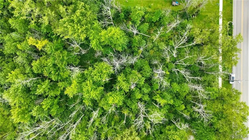 V/l Sunset Drive, Hamburg, New York 14075, Hamburg, New York 14075, ,Land,For Sale,V/l Sunset Drive, Hamburg, New York 14075,0,B1609075