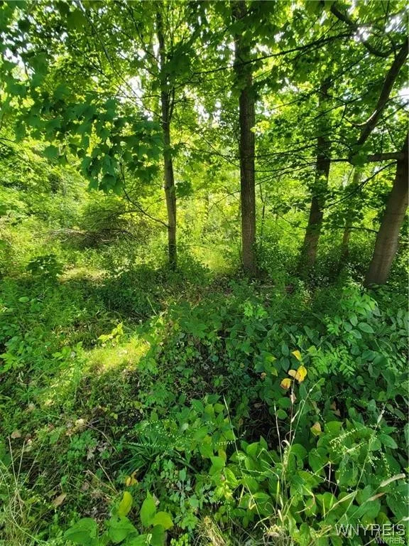 V/l Sunset Drive, Hamburg, New York 14075, Hamburg, New York 14075, ,Land,For Sale,V/l Sunset Drive, Hamburg, New York 14075,0,B1609075