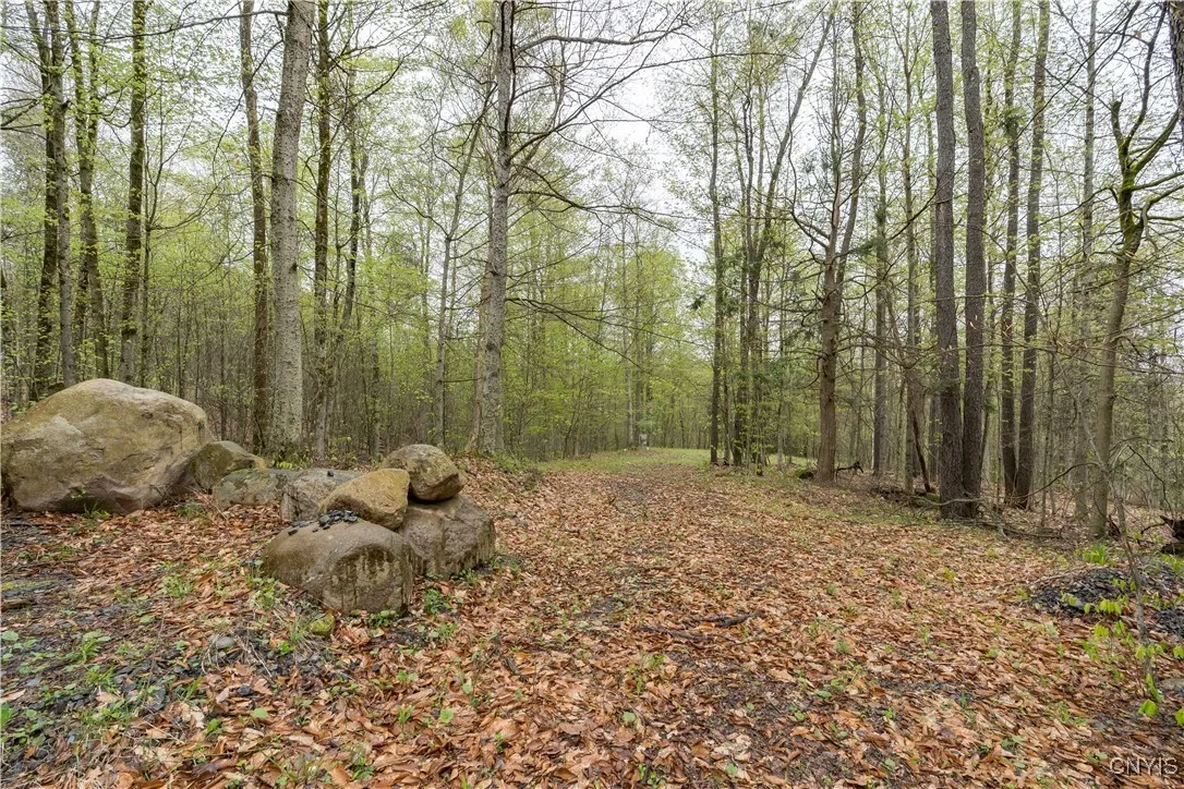 4891 Kirch Hill Road, Greig, New York 13345, Greig, New York 13345, 1 Bedroom Bedrooms, 4 Rooms Rooms,1 BathroomBathrooms,Residential,Closed,4891 Kirch Hill Road, Greig, New York 13345,0,S1609231