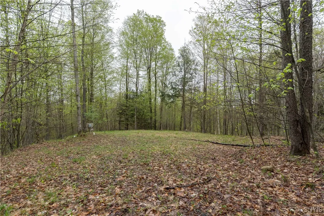 4891 Kirch Hill Road, Greig, New York 13345, Greig, New York 13345, 1 Bedroom Bedrooms, 4 Rooms Rooms,1 BathroomBathrooms,Residential,Closed,4891 Kirch Hill Road, Greig, New York 13345,0,S1609231