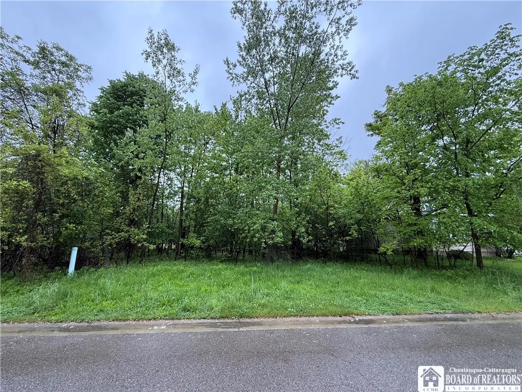 Summit Avenue, Orchard Park, New York 14127, Orchard Park, New York 14127, ,Land,Closed,Summit Avenue, Orchard Park, New York 14127,R1609380