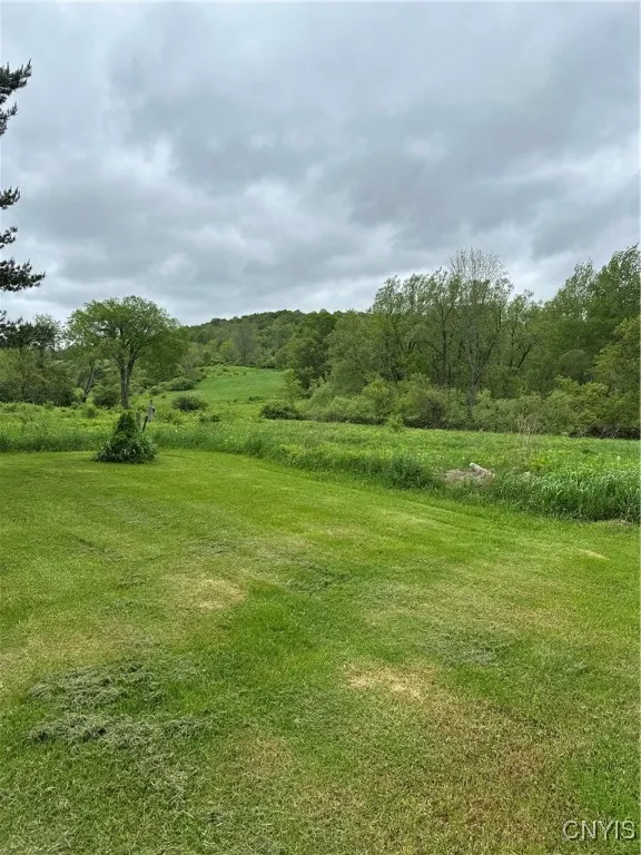 back side of property