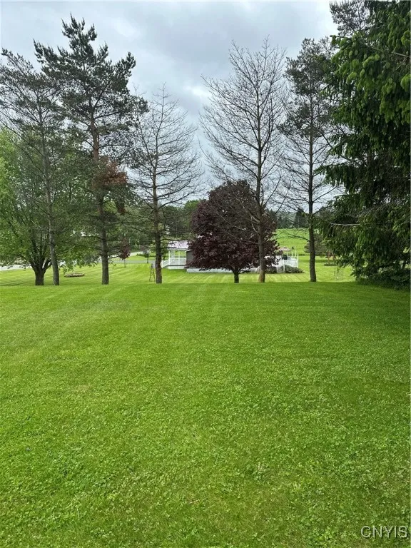 7 acre lot looking back