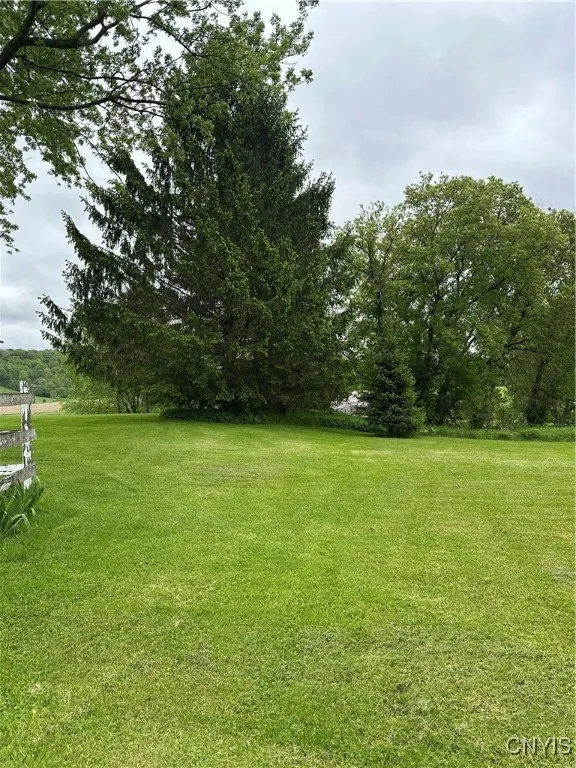side/back yard