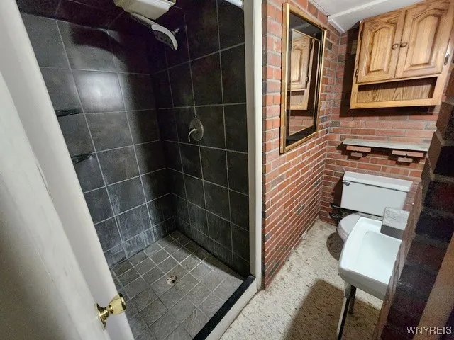 basement bathroom (1)