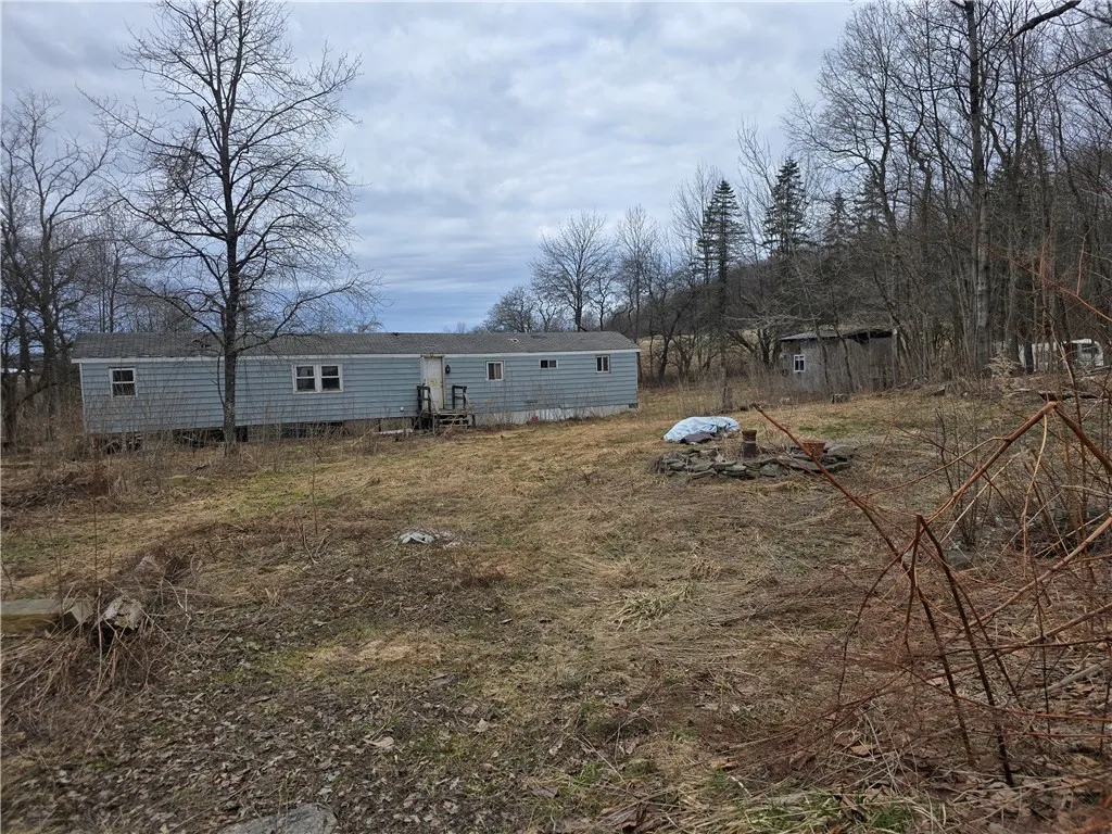 137 County Road 47, Pharsalia, New York 13815, Pharsalia, New York 13815, ,Land,For Sale,137 County Road 47, Pharsalia, New York 13815,0,R1609607