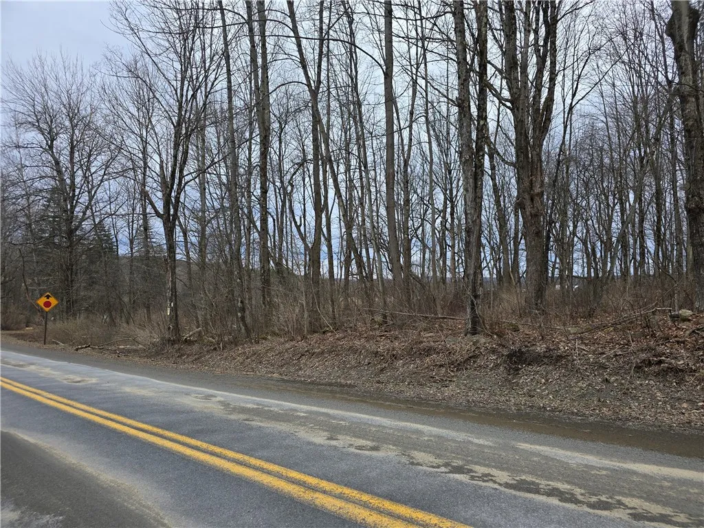 137 County Road 47, Pharsalia, New York 13815, Pharsalia, New York 13815, ,Land,For Sale,137 County Road 47, Pharsalia, New York 13815,0,R1609607