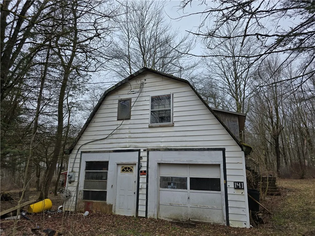 137 County Road 47, Pharsalia, New York 13815, Pharsalia, New York 13815, ,Land,For Sale,137 County Road 47, Pharsalia, New York 13815,0,R1609607