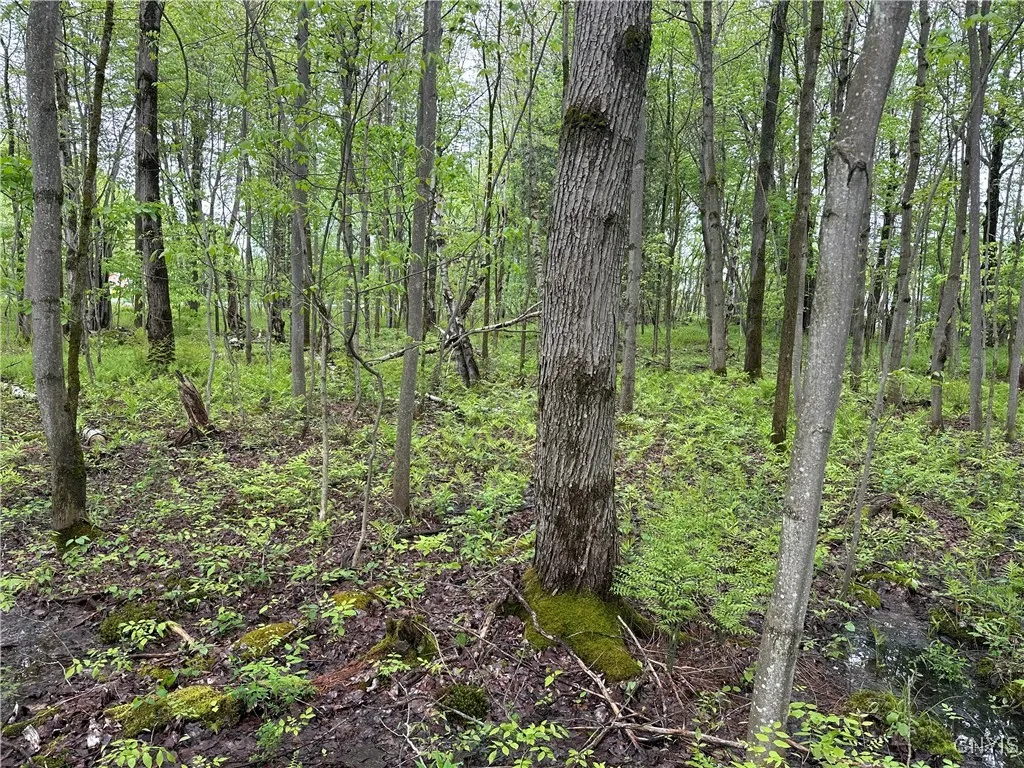 Rogers Crossing Road, Wilna, New York 13619, Wilna, New York 13619, ,Land,Closed,Rogers Crossing Road, Wilna, New York 13619,S1608932