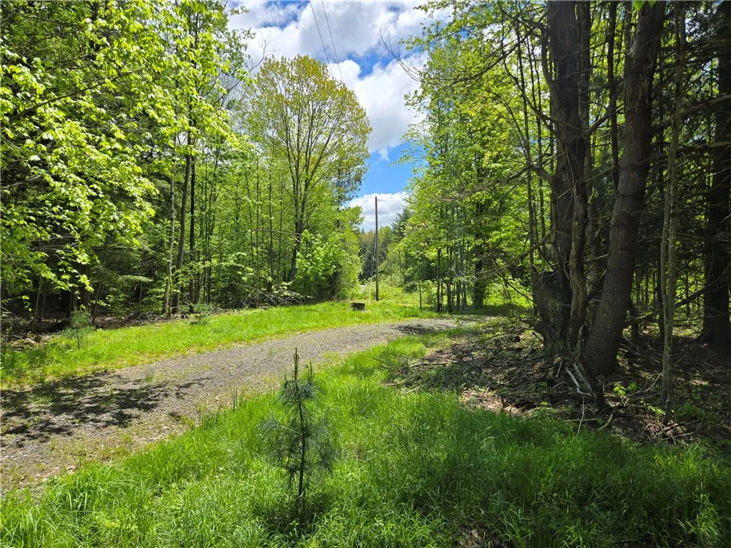 568 Country Road, Davenport, New York 12155, Davenport, New York 12155, 1 Bedroom Bedrooms, 5 Rooms Rooms,1 BathroomBathrooms,Residential,Closed,568 Country Road, Davenport, New York 12155,R1609676