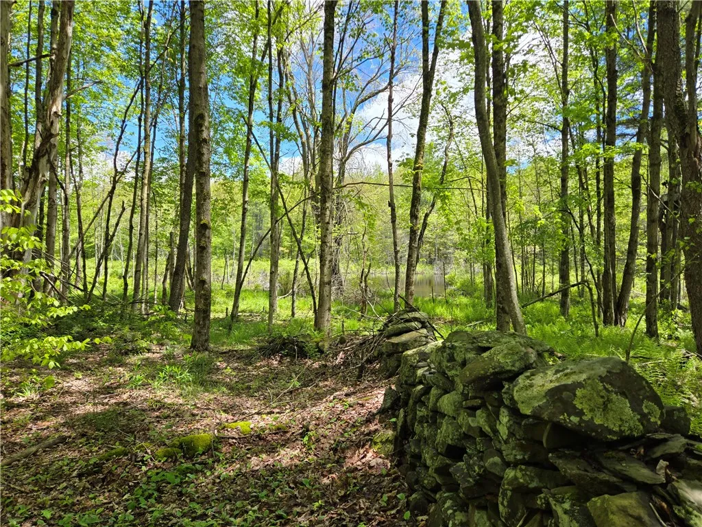 568 Country Road, Davenport, New York 12155, Davenport, New York 12155, 1 Bedroom Bedrooms, 5 Rooms Rooms,1 BathroomBathrooms,Residential,Closed,568 Country Road, Davenport, New York 12155,R1609676