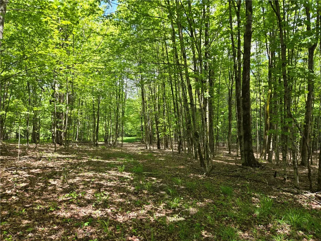 568 Country Road, Davenport, New York 12155, Davenport, New York 12155, 1 Bedroom Bedrooms, 5 Rooms Rooms,1 BathroomBathrooms,Residential,Closed,568 Country Road, Davenport, New York 12155,R1609676