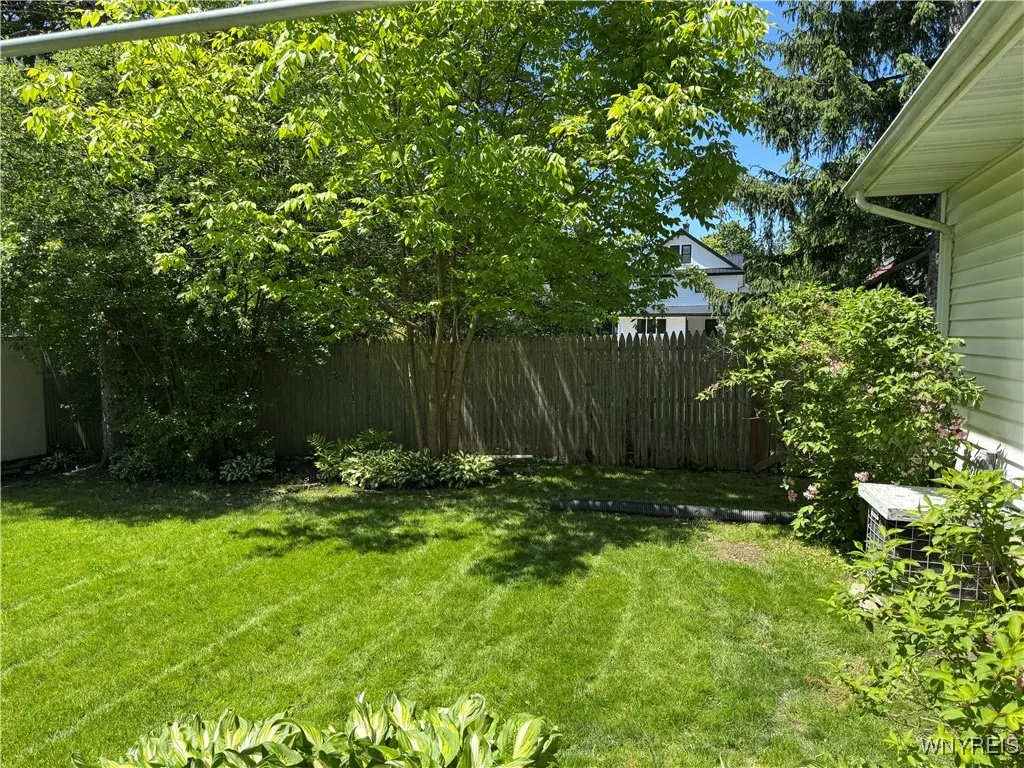 fenced yard
