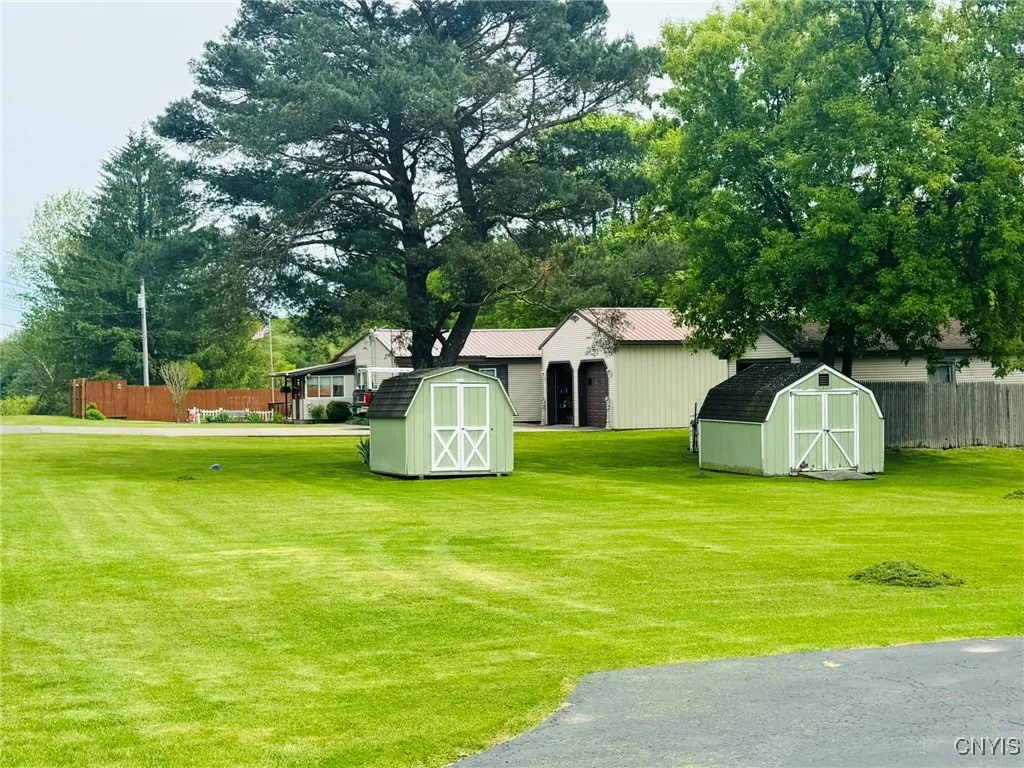 Back Yard with Two Sheds