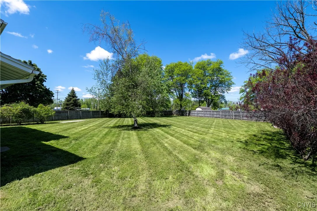 Large fenced in yard