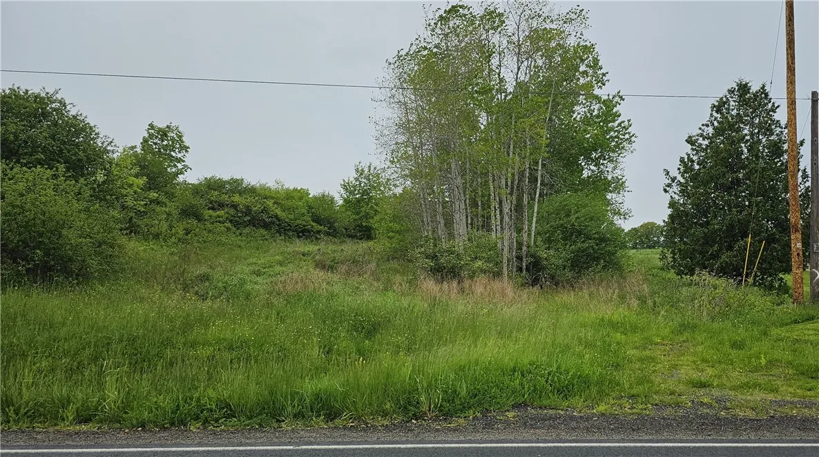4600 Chubb Hollow Rd, Barrington, New York 14837, Barrington, New York 14837, ,Land,Closed,4600 Chubb Hollow Rd, Barrington, New York 14837,R1610363