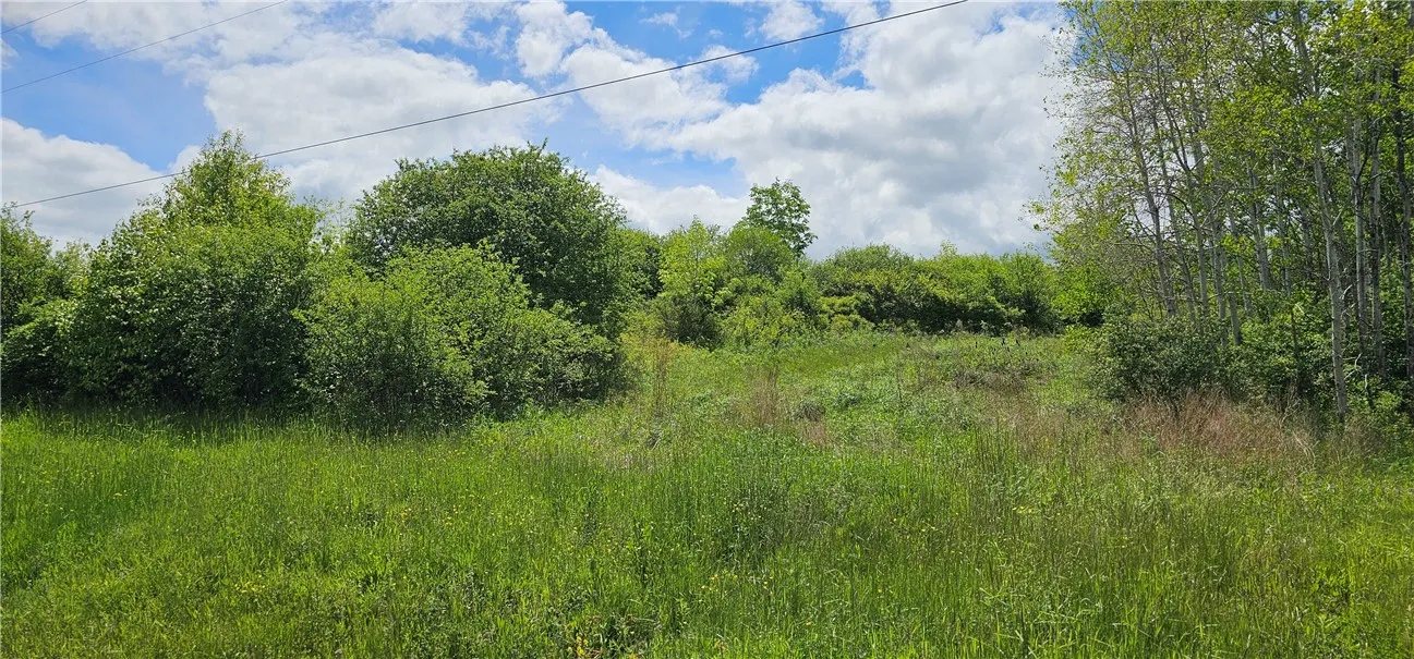 4600 Chubb Hollow Rd, Barrington, New York 14837, Barrington, New York 14837, ,Land,Closed,4600 Chubb Hollow Rd, Barrington, New York 14837,R1610363