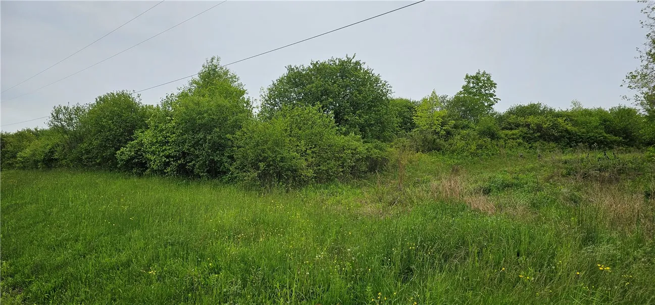 4600 Chubb Hollow Rd, Barrington, New York 14837, Barrington, New York 14837, ,Land,Closed,4600 Chubb Hollow Rd, Barrington, New York 14837,R1610363