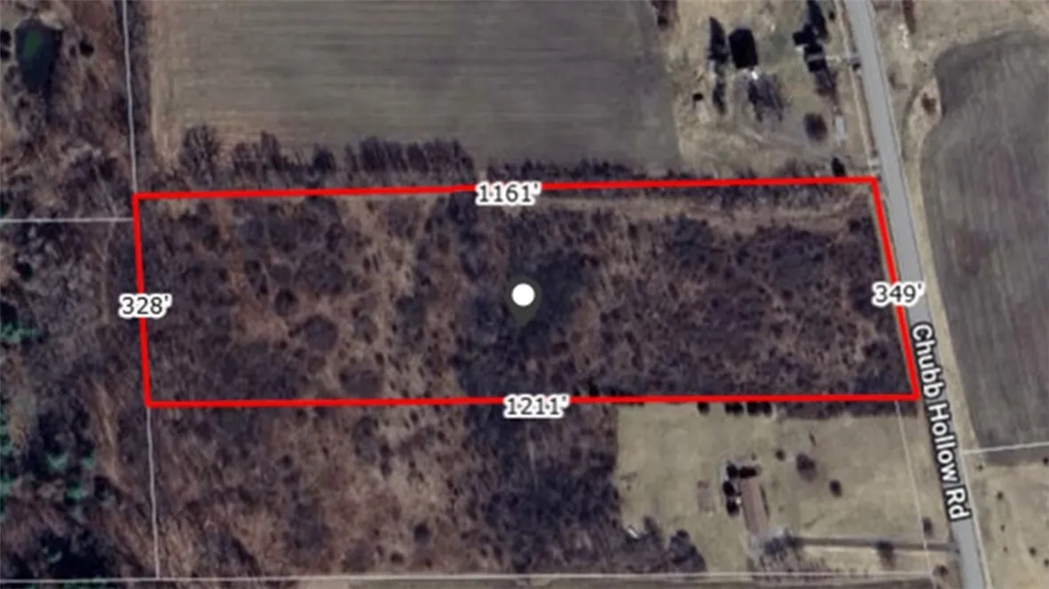 4600 Chubb Hollow Rd, Barrington, New York 14837, Barrington, New York 14837, ,Land,Closed,4600 Chubb Hollow Rd, Barrington, New York 14837,R1610363