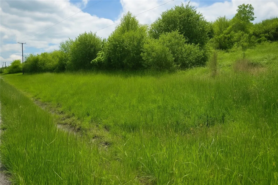 4600 Chubb Hollow Rd, Barrington, New York 14837, Barrington, New York 14837, ,Land,Closed,4600 Chubb Hollow Rd, Barrington, New York 14837,R1610363
