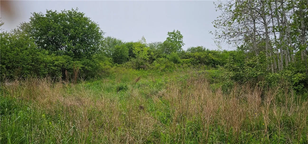 4600 Chubb Hollow Rd, Barrington, New York 14837, Barrington, New York 14837, ,Land,Closed,4600 Chubb Hollow Rd, Barrington, New York 14837,R1610363