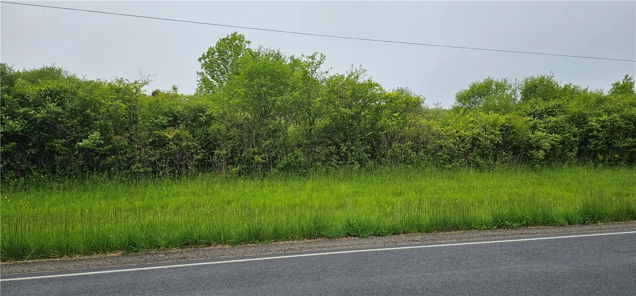 4600 Chubb Hollow Rd, Barrington, New York 14837, Barrington, New York 14837, ,Land,Closed,4600 Chubb Hollow Rd, Barrington, New York 14837,R1610363