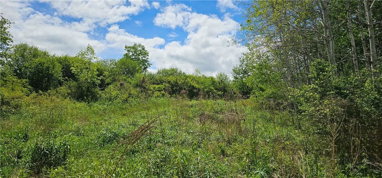 4600 Chubb Hollow Rd, Barrington, New York 14837, Barrington, New York 14837, ,Land,Closed,4600 Chubb Hollow Rd, Barrington, New York 14837,R1610363