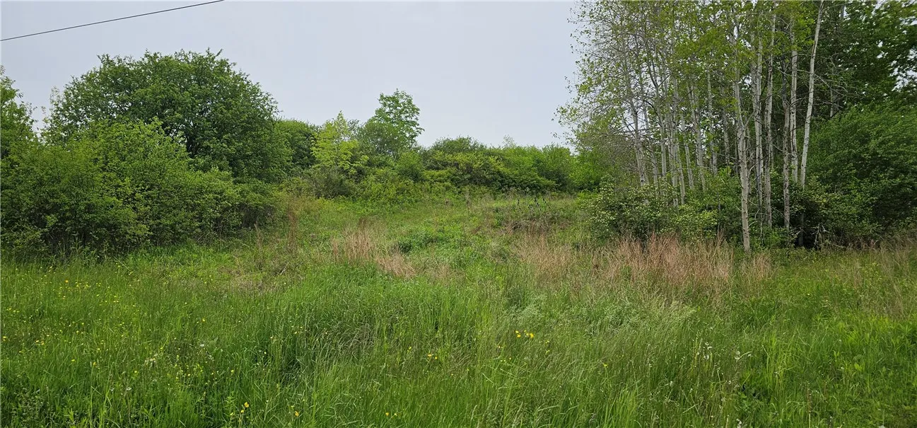 4600 Chubb Hollow Rd, Barrington, New York 14837, Barrington, New York 14837, ,Land,Closed,4600 Chubb Hollow Rd, Barrington, New York 14837,R1610363
