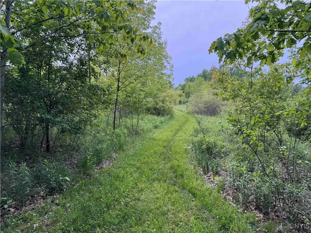 3240 Route 430, Ellery, New York 14712, Ellery, New York 14712, ,Land,Closed,3240 Route 430, Ellery, New York 14712,0,S1610466