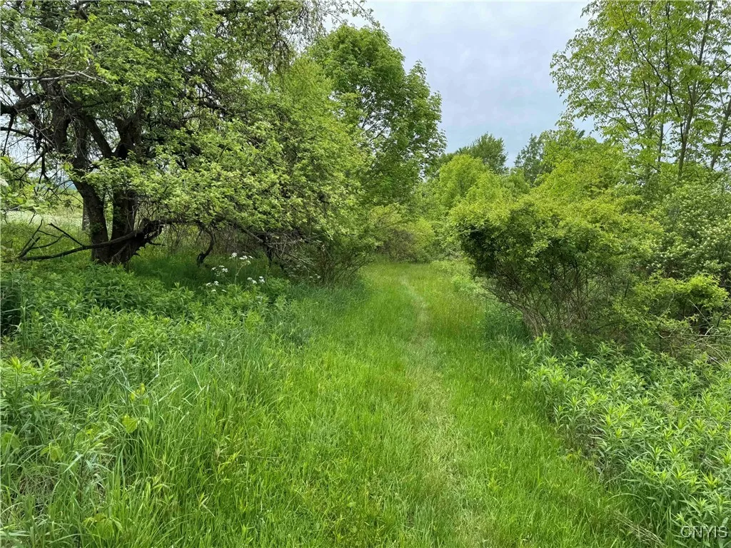 3240 Route 430, Ellery, New York 14712, Ellery, New York 14712, ,Land,Closed,3240 Route 430, Ellery, New York 14712,0,S1610466