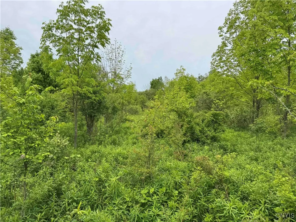 3240 Route 430, Ellery, New York 14712, Ellery, New York 14712, ,Land,Closed,3240 Route 430, Ellery, New York 14712,0,S1610466