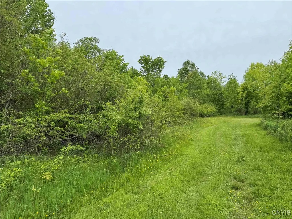 3240 Route 430, Ellery, New York 14712, Ellery, New York 14712, ,Land,Closed,3240 Route 430, Ellery, New York 14712,0,S1610466