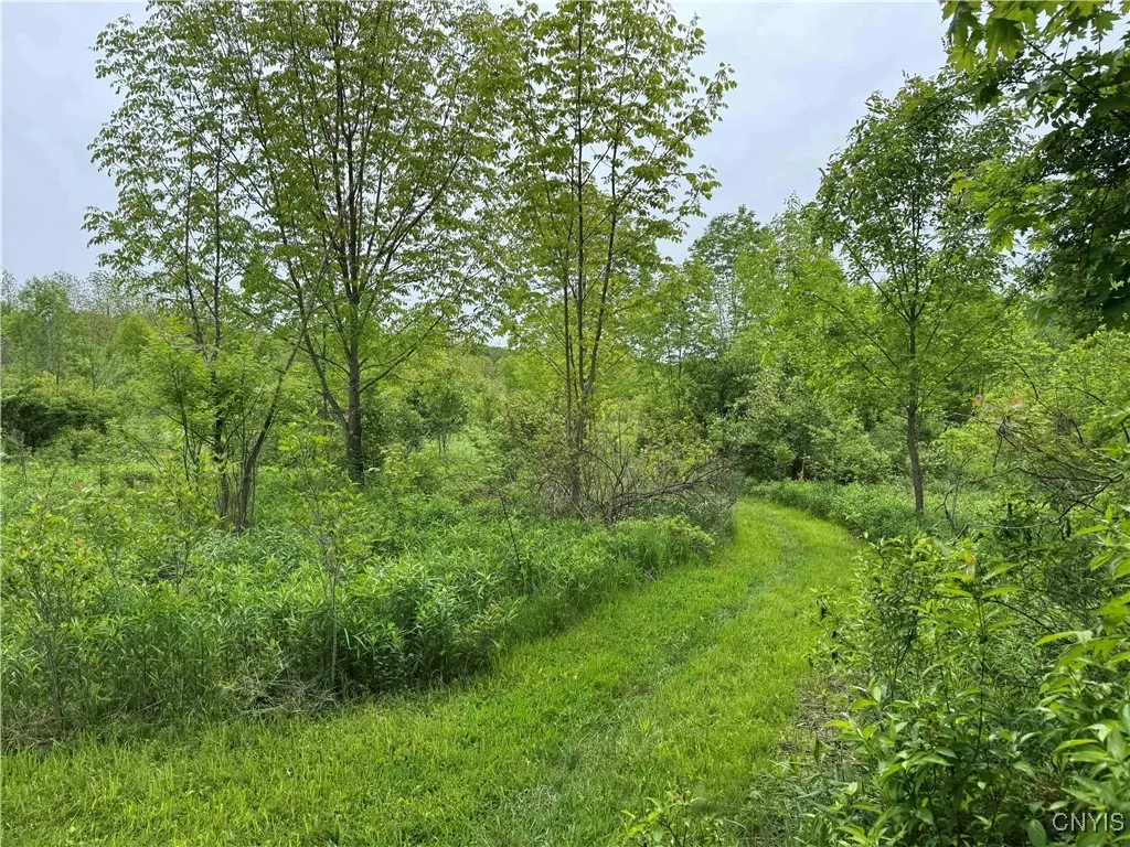 3240 Route 430, Ellery, New York 14712, Ellery, New York 14712, ,Land,Closed,3240 Route 430, Ellery, New York 14712,0,S1610466