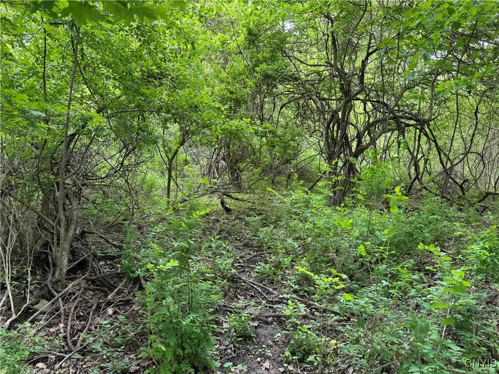 3240 Route 430, Ellery, New York 14712, Ellery, New York 14712, ,Land,Closed,3240 Route 430, Ellery, New York 14712,0,S1610466