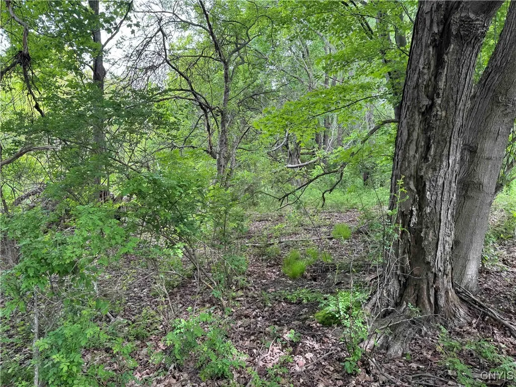 3240 Route 430, Ellery, New York 14712, Ellery, New York 14712, ,Land,Closed,3240 Route 430, Ellery, New York 14712,0,S1610466