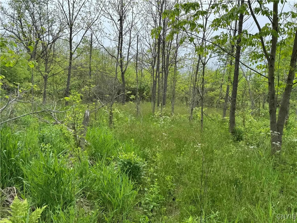 3240 Route 430, Ellery, New York 14712, Ellery, New York 14712, ,Land,Closed,3240 Route 430, Ellery, New York 14712,0,S1610466