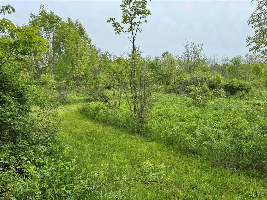 3240 Route 430, Ellery, New York 14712, Ellery, New York 14712, ,Land,Closed,3240 Route 430, Ellery, New York 14712,0,S1610466