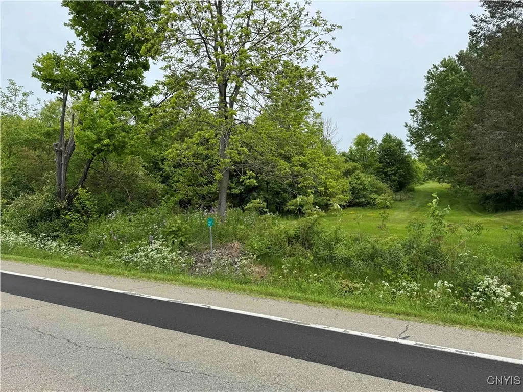 3240 Route 430, Ellery, New York 14712, Ellery, New York 14712, ,Land,Closed,3240 Route 430, Ellery, New York 14712,0,S1610466