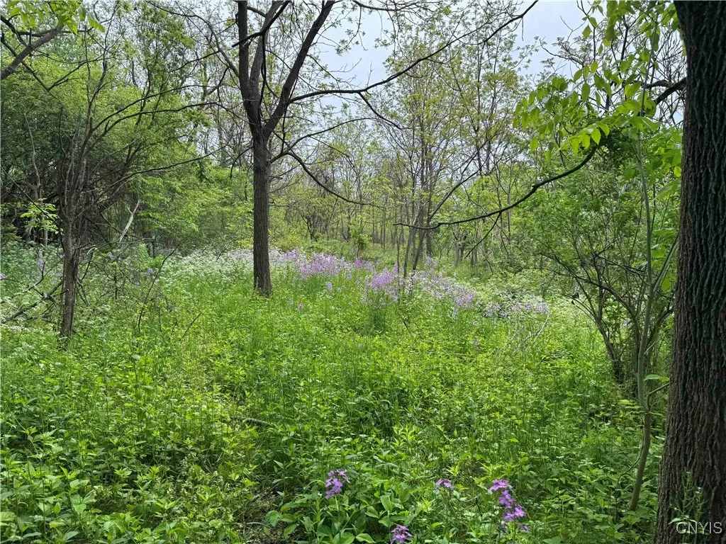 3240 Route 430, Ellery, New York 14712, Ellery, New York 14712, ,Land,Closed,3240 Route 430, Ellery, New York 14712,0,S1610466