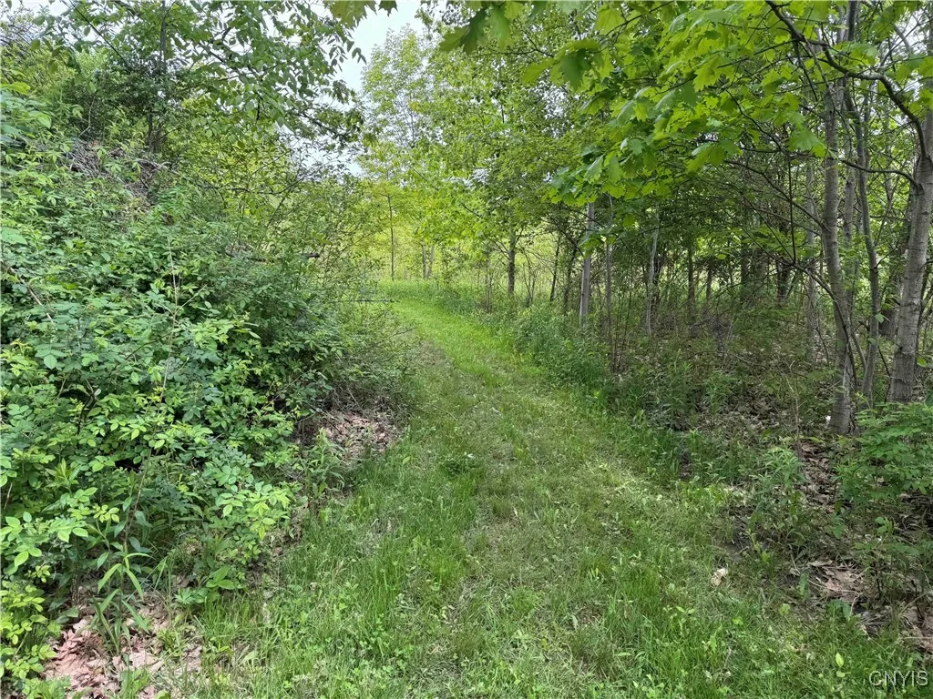 3240 Route 430, Ellery, New York 14712, Ellery, New York 14712, ,Land,Closed,3240 Route 430, Ellery, New York 14712,0,S1610466