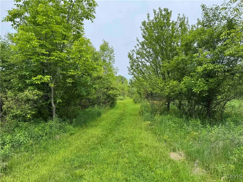 3240 Route 430, Ellery, New York 14712, Ellery, New York 14712, ,Land,Closed,3240 Route 430, Ellery, New York 14712,0,S1610466