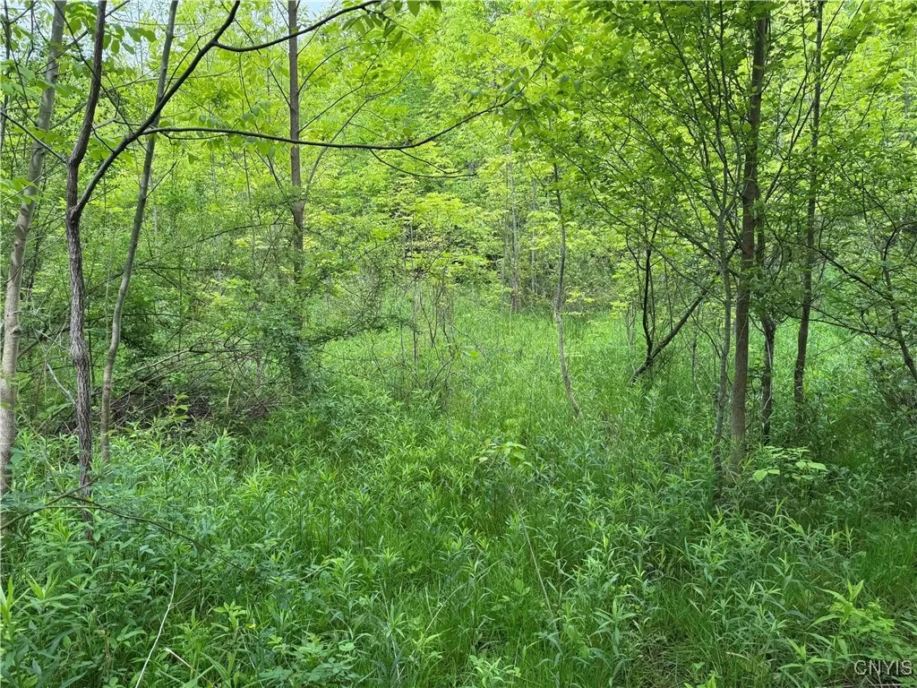 3240 Route 430, Ellery, New York 14712, Ellery, New York 14712, ,Land,Closed,3240 Route 430, Ellery, New York 14712,0,S1610466
