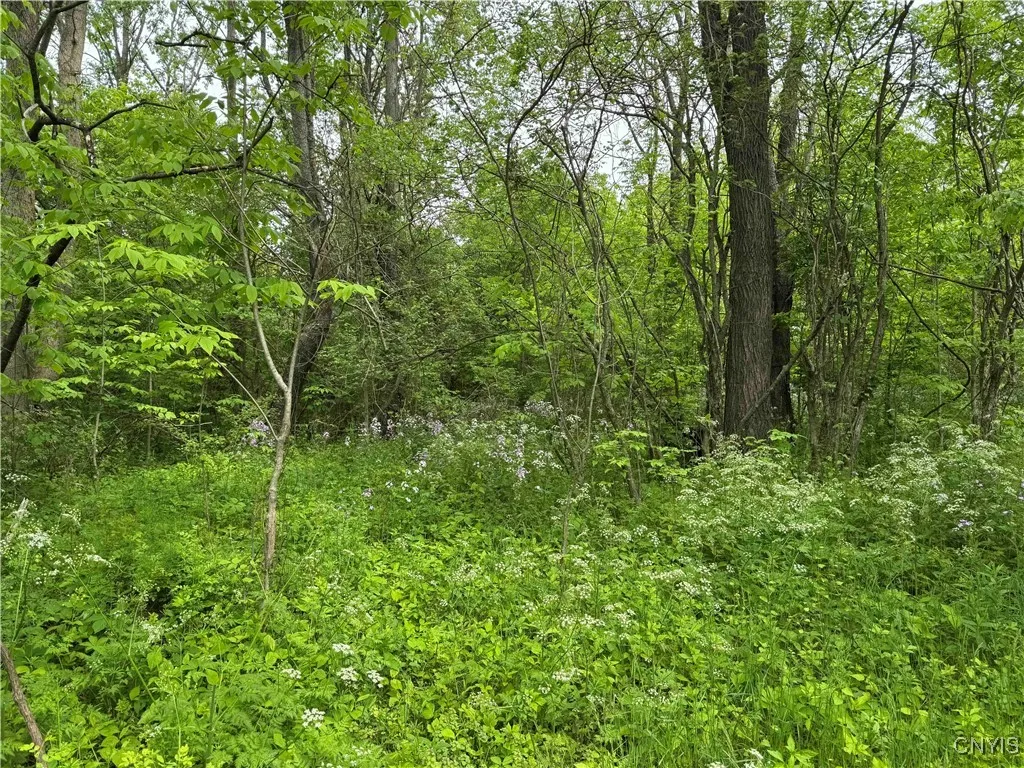 3240 Route 430, Ellery, New York 14712, Ellery, New York 14712, ,Land,Closed,3240 Route 430, Ellery, New York 14712,0,S1610466