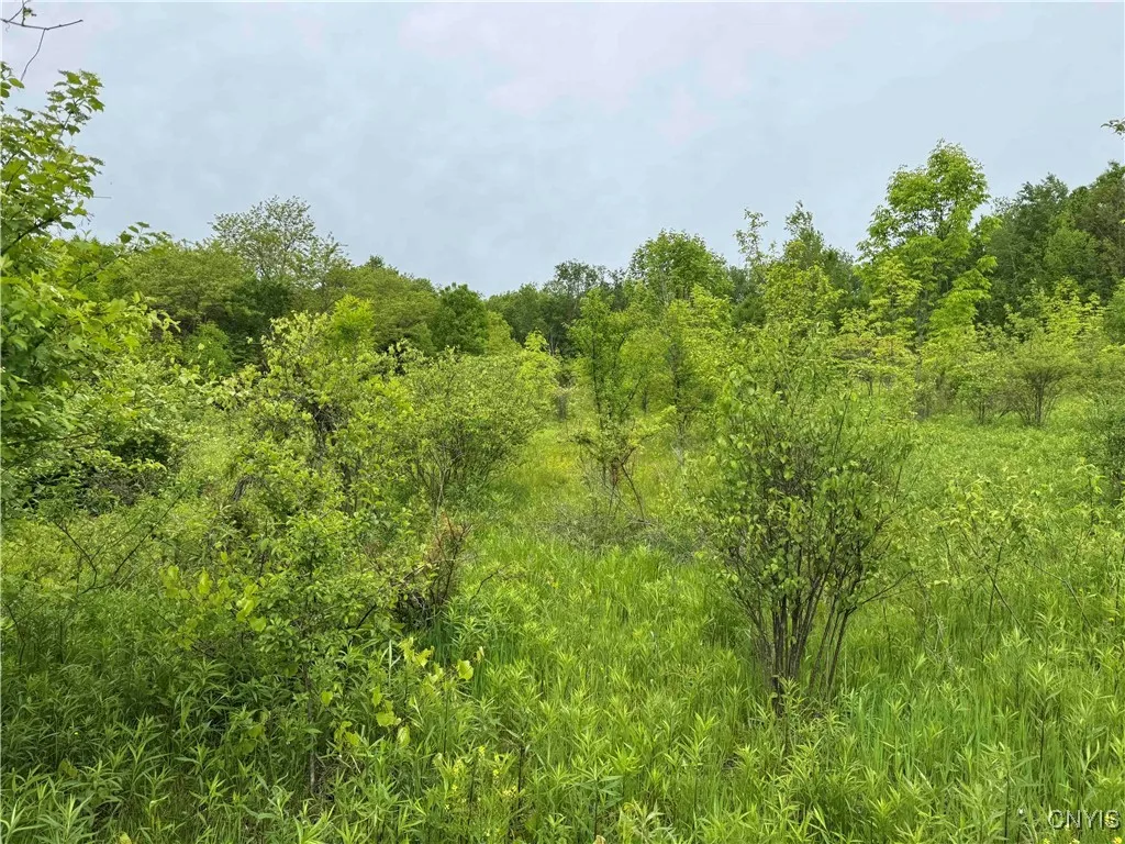 3240 Route 430, Ellery, New York 14712, Ellery, New York 14712, ,Land,Closed,3240 Route 430, Ellery, New York 14712,0,S1610466