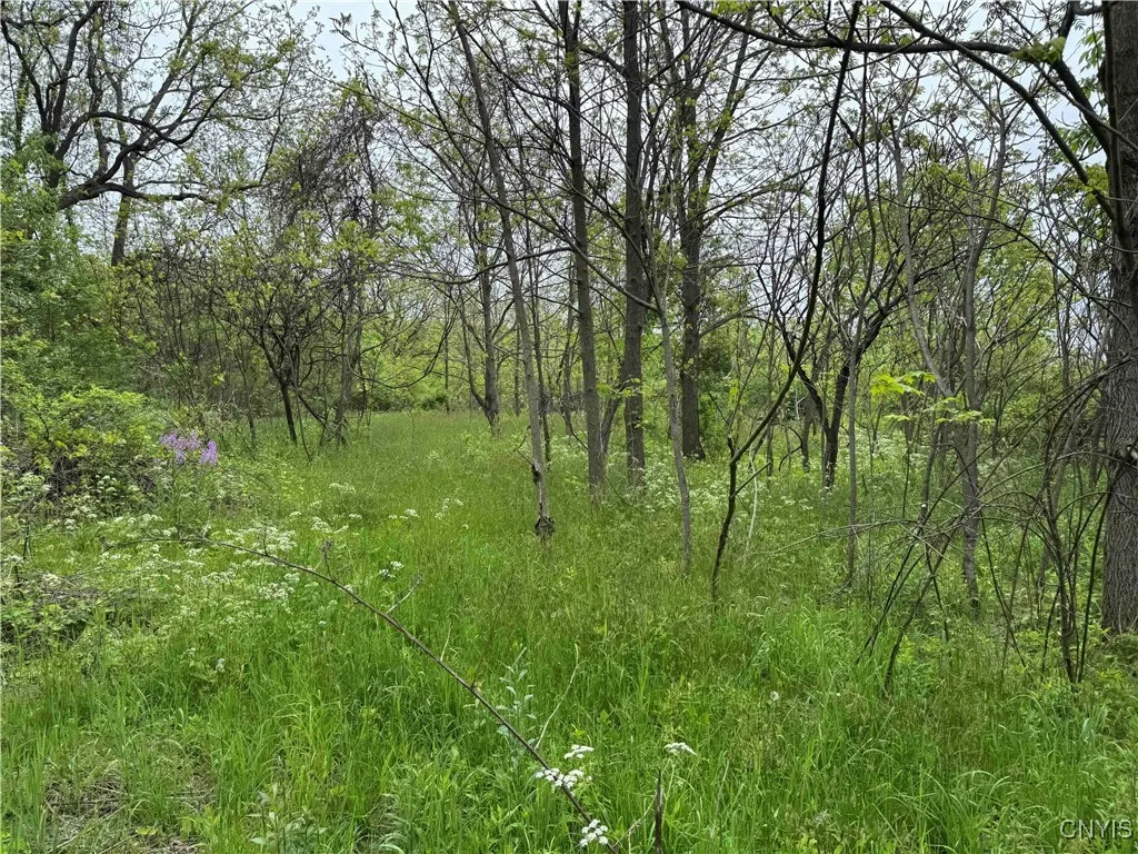 3240 Route 430, Ellery, New York 14712, Ellery, New York 14712, ,Land,Closed,3240 Route 430, Ellery, New York 14712,0,S1610466