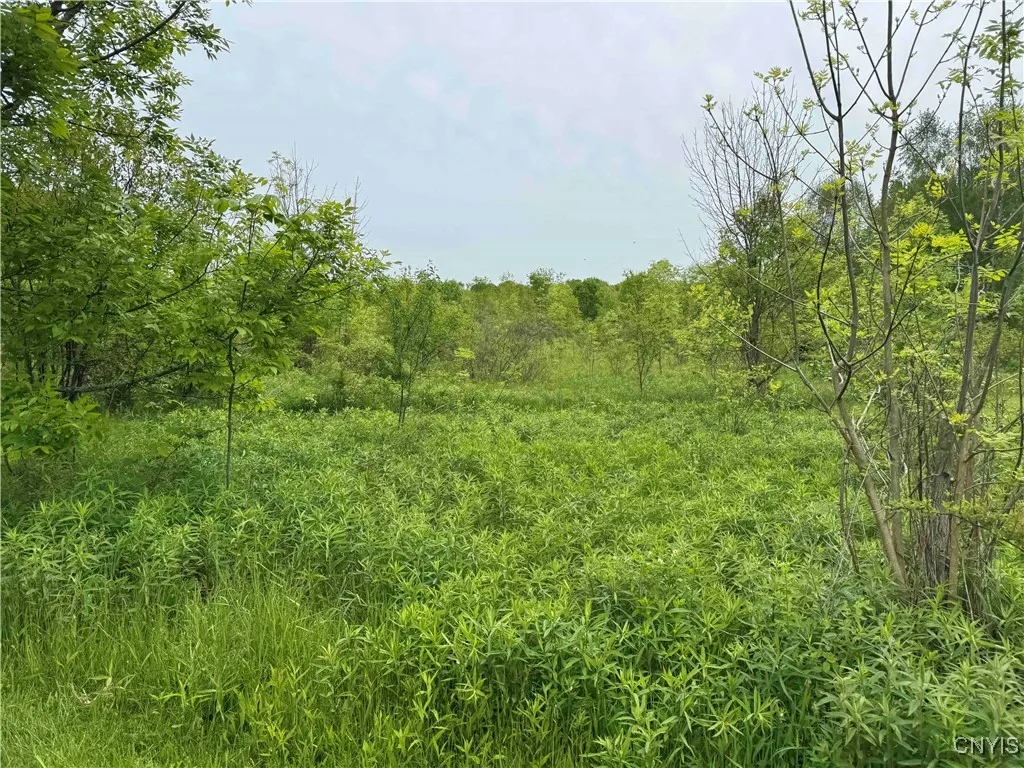 3240 Route 430, Ellery, New York 14712, Ellery, New York 14712, ,Land,Closed,3240 Route 430, Ellery, New York 14712,0,S1610466